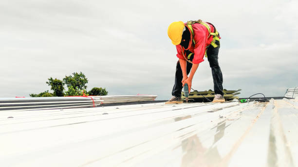 Best Storm Damage Roof Repair  in Prairie Creek, AR