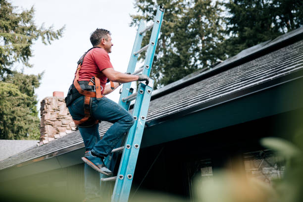 Reliable Prairie Creek, AR Roofing Service Solutions