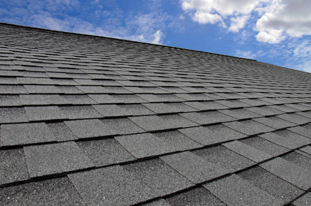 Best Gutter Installation and Repair  in Prairie Creek, AR